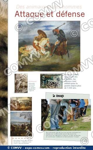 Panneau de l'exposition Des animaux et des hommes