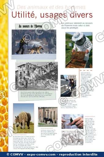 Panneau de l'exposition Des animaux et des hommes