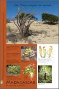Panneau de l'exposition Madagascar
