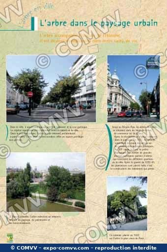 Panneau de l'exposition L'arbre en ville