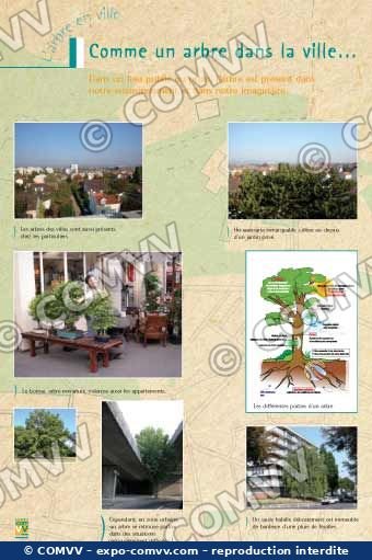 Panneau de l'exposition L'arbre en ville