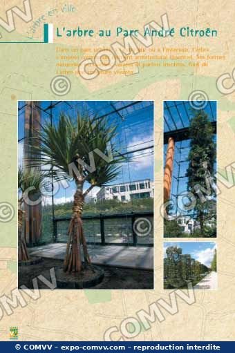 Panneau de l'exposition L'arbre en ville