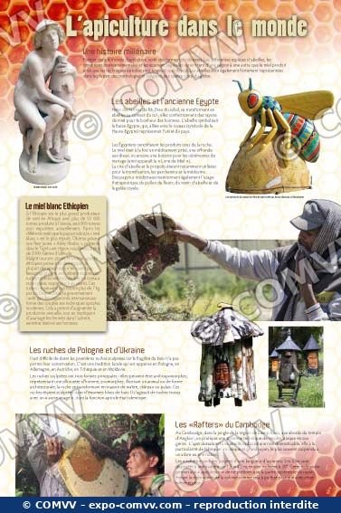 Panneau de l'exposition Apiculture et produits de la ruche