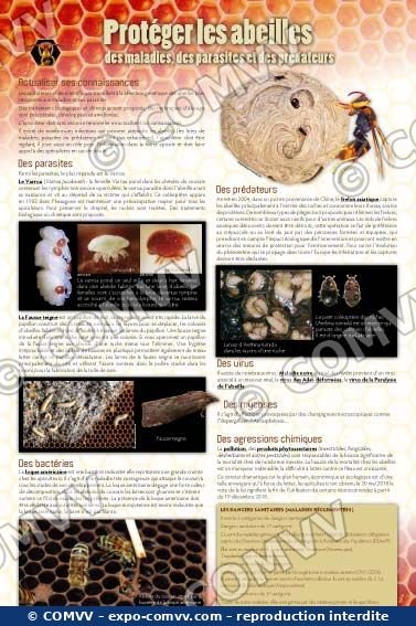 Panneau de l'exposition Apiculture et produits de la ruche