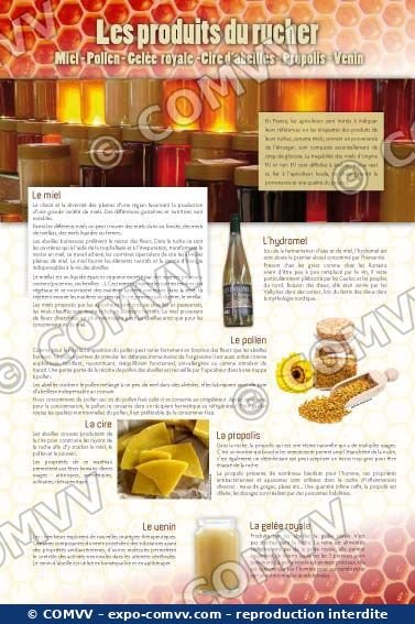 Panneau de l'exposition Apiculture et produits de la ruche