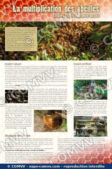 Panneau de l'exposition Apiculture et produits de la ruche