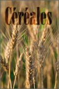 Cereales