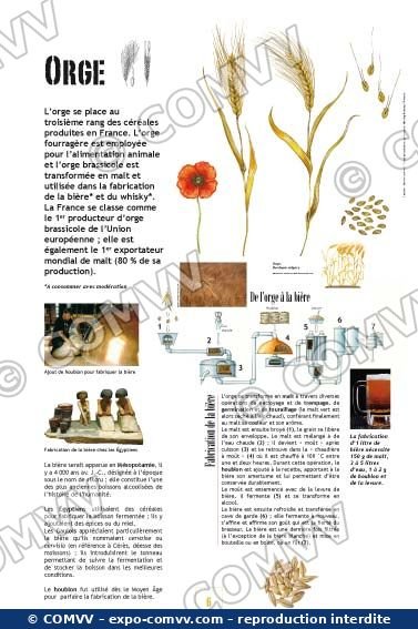 Panneau de l'exposition Céréales