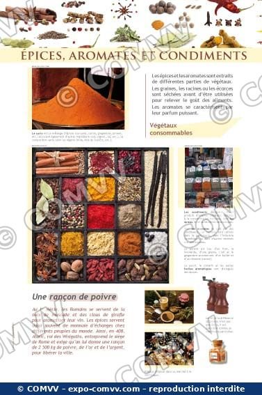 Panneau de l'exposition Épices et aromates