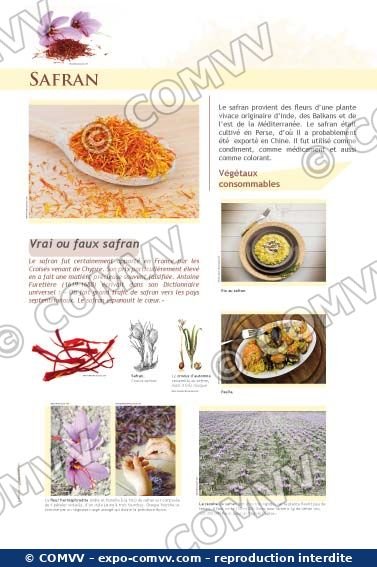 Panneau de l'exposition Épices et aromates