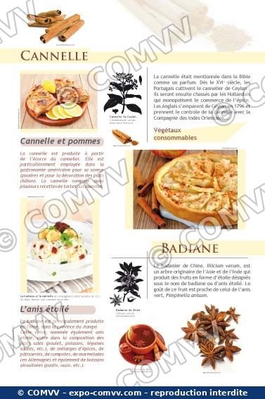 Panneau de l'exposition Épices et aromates