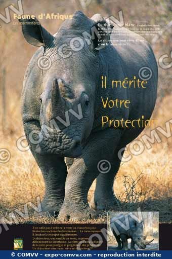 Panneau de l'exposition Faune d'Afrique