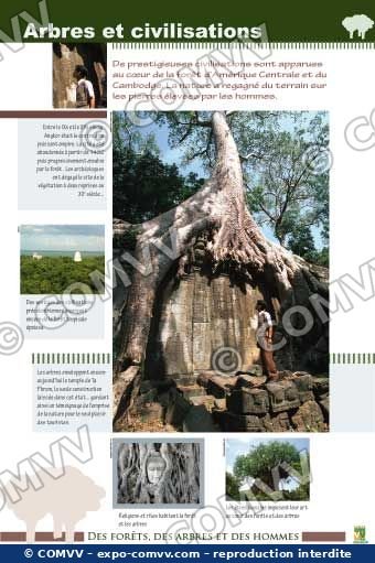Panneau de l'exposition Des forêts, des arbres, des hommes