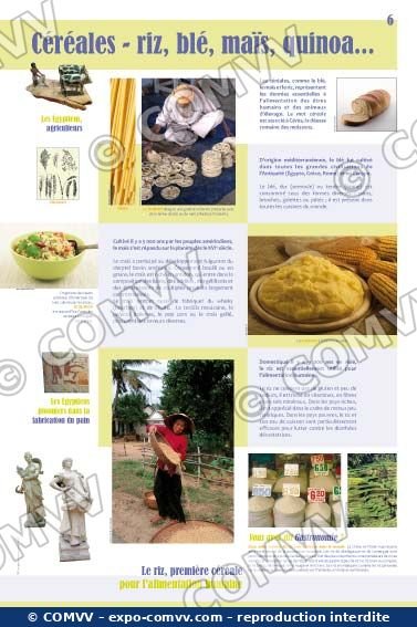 Panneau de l'exposition Gastronomie
