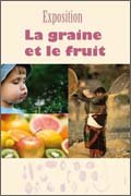 La graine et le fruit