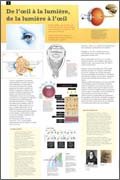 Panneau de l'exposition Lumiere