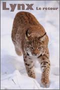 Lynx