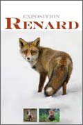 Renard