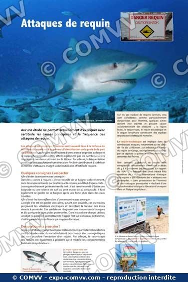 Panneau de l'exposition Requins