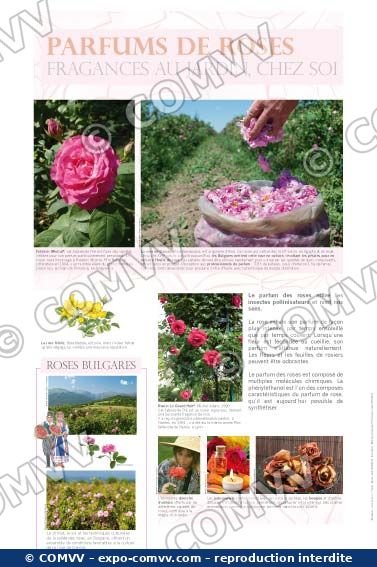 Panneau de l'exposition Roses