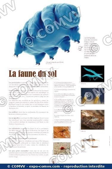 Panneau de l'exposition Le sol