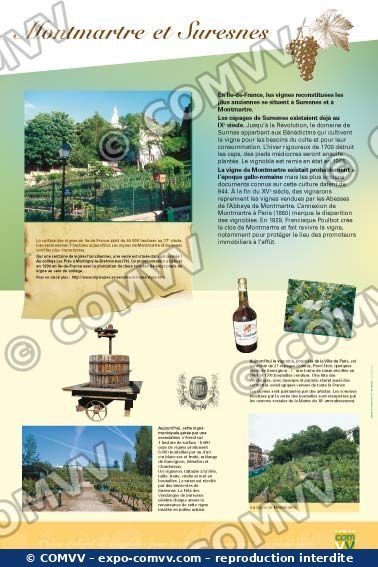 Panneau de l'exposition La vigne et le vin