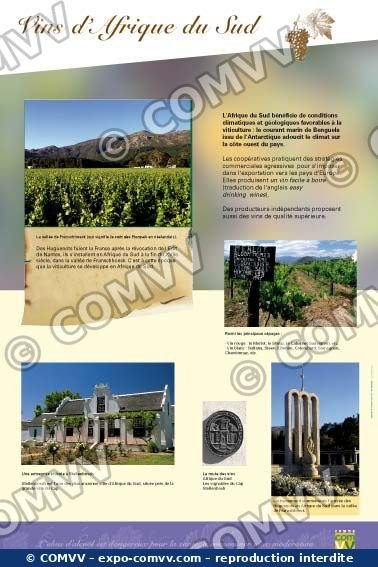 Panneau de l'exposition La vigne et le vin